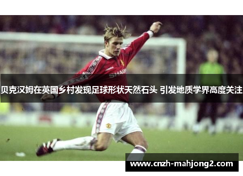 贝克汉姆在英国乡村发现足球形状天然石头 引发地质学界高度关注