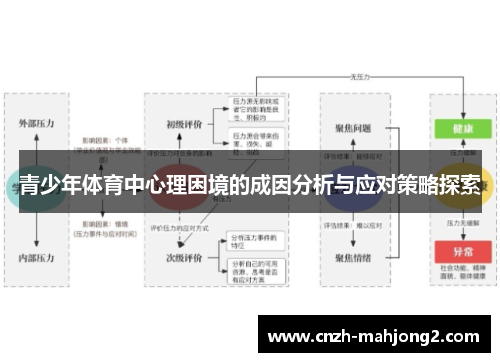 青少年体育中心理困境的成因分析与应对策略探索